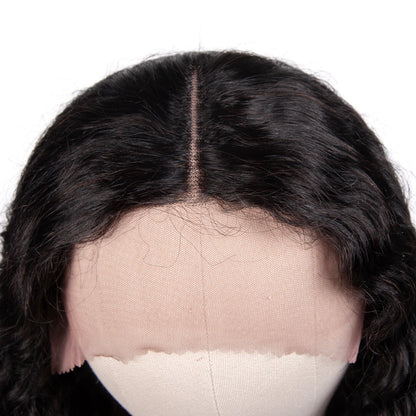 Cranberry 13x4 T Part Lace Front Wigs Indian Silky Straight Human Hair Wigs 180% Density Pre-plucked - Cranberry Hair