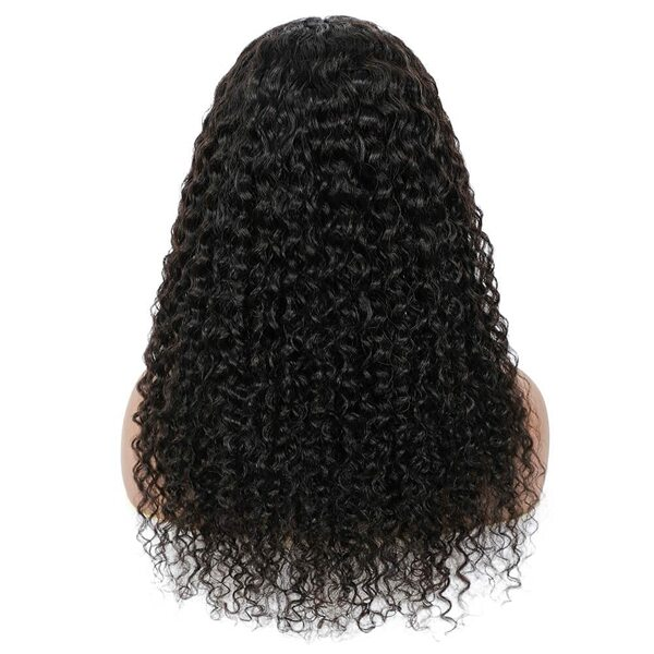 Cranberry 12A Water Wave 4x4 Invisible Lace Closure Wigs | Real Swiss Lace