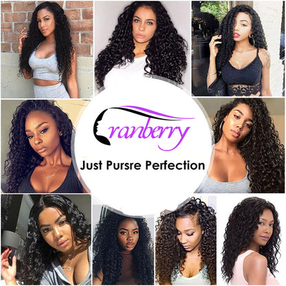 Cranberry 4x4 Brazilian Remy Human Hair Wigs Kinky Curly Lace Closure Wigs - Cranberry Hair